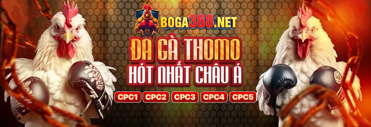 Phần câu hỏi thường gặp về đá gà trực tuyến god55