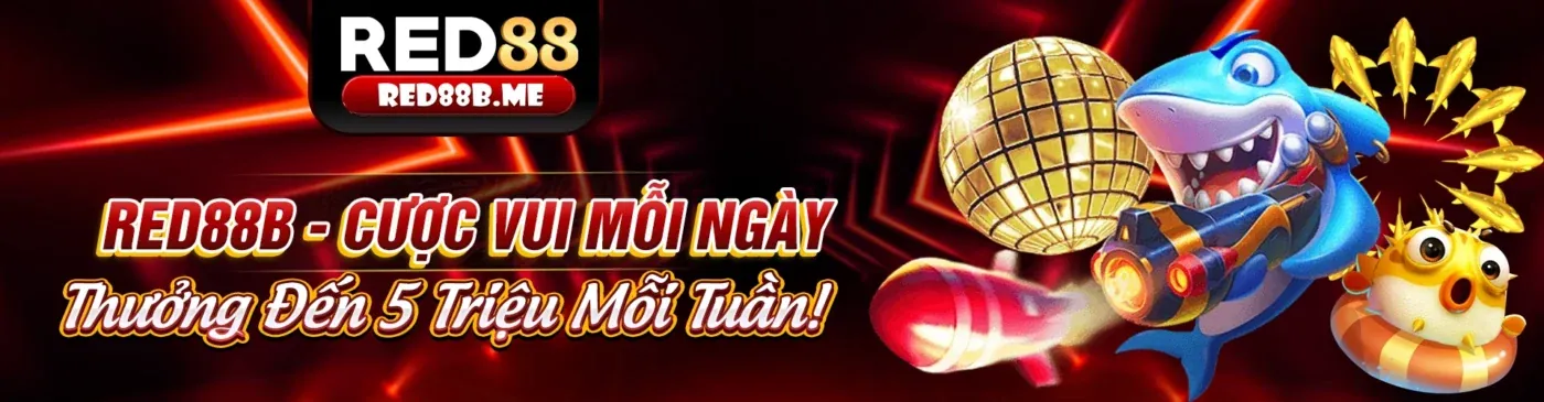 Khuyến Mãi GOD55 2026 Hấp Dẫn