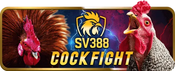 Chương Trình Hoàn Trả Cực Cao GOD55