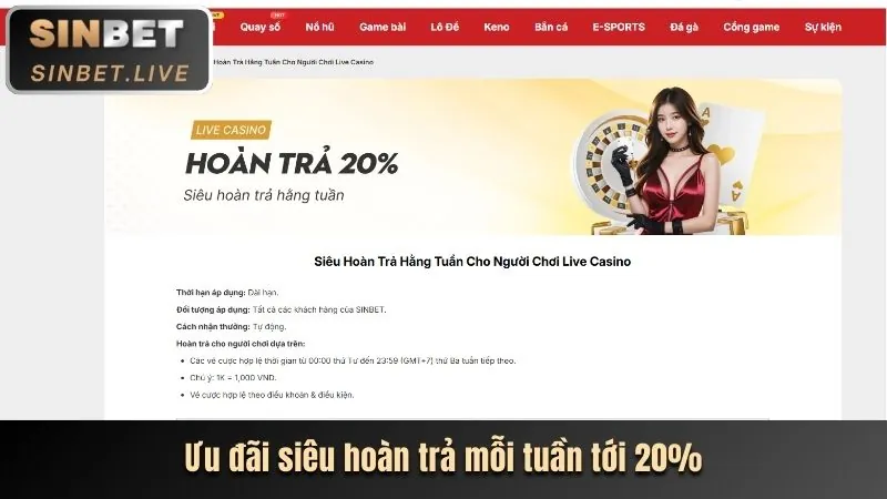 Hoàn trả hàng ngày cá cược thể thao